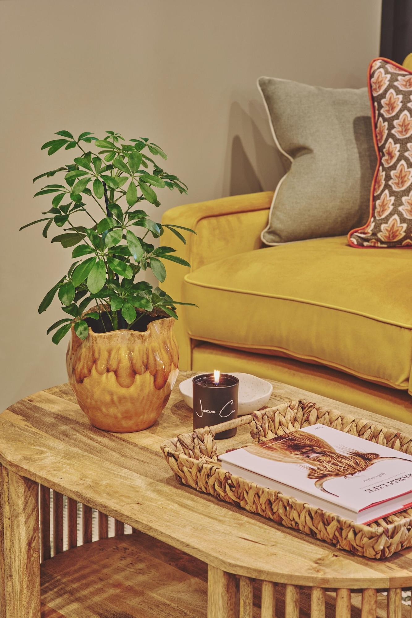 Vista Lobby The Barn Hotel