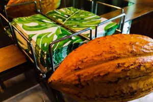 Alquiler Vacacional - Negra Lodge Costa Rica