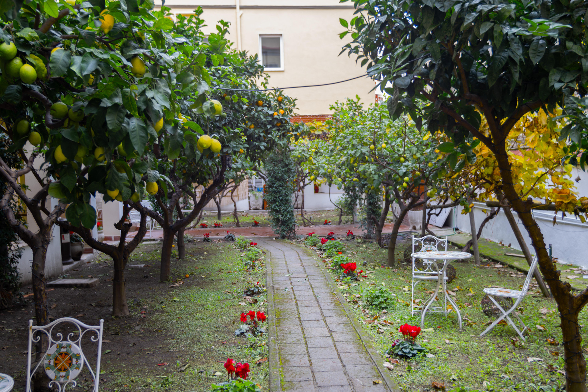 Restaurant Palazzo Cappuccini Art Relais