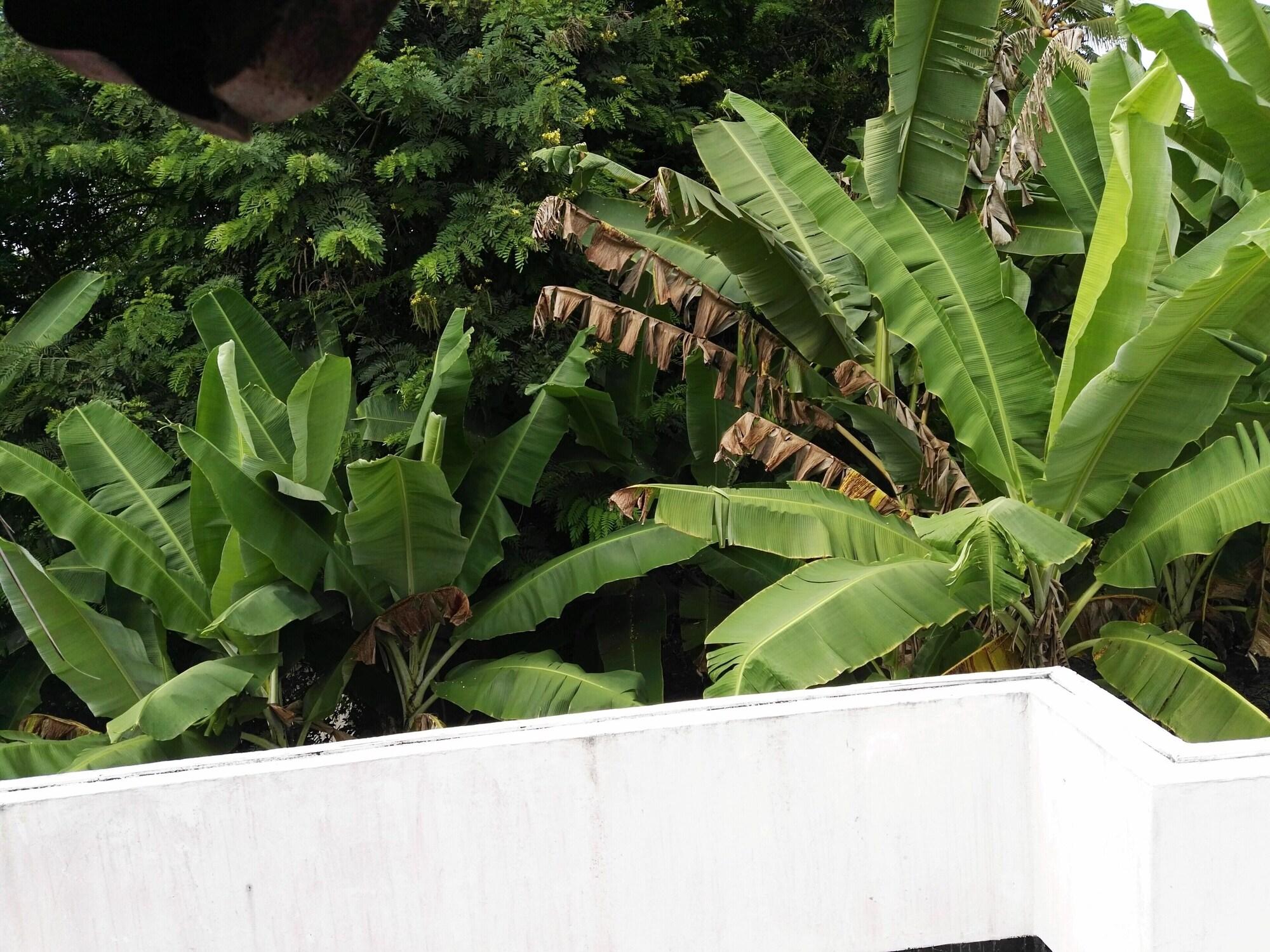 Comodidades del Alojamiento Sharook Lodge - Hostel