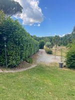 Alquiler Vacacional - Casale Geos in Capannori