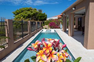Alquiler Vacacional - Luxury Villa with Salt water pool, Ocean view in Noord, walk to the beach.
