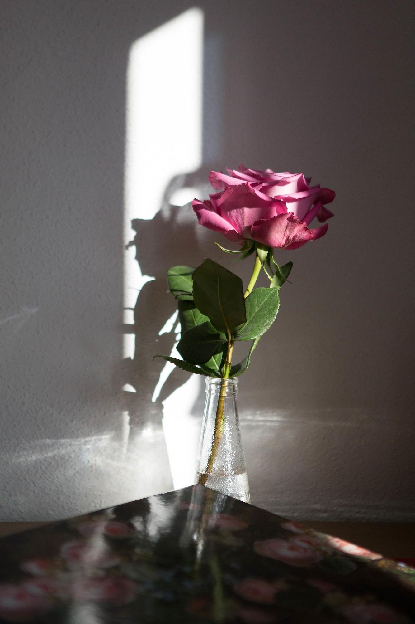 Spa Boutiquehotel Goldene Rose