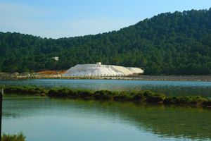 Actividad - Descubre Ibiza a bordo de un autobús