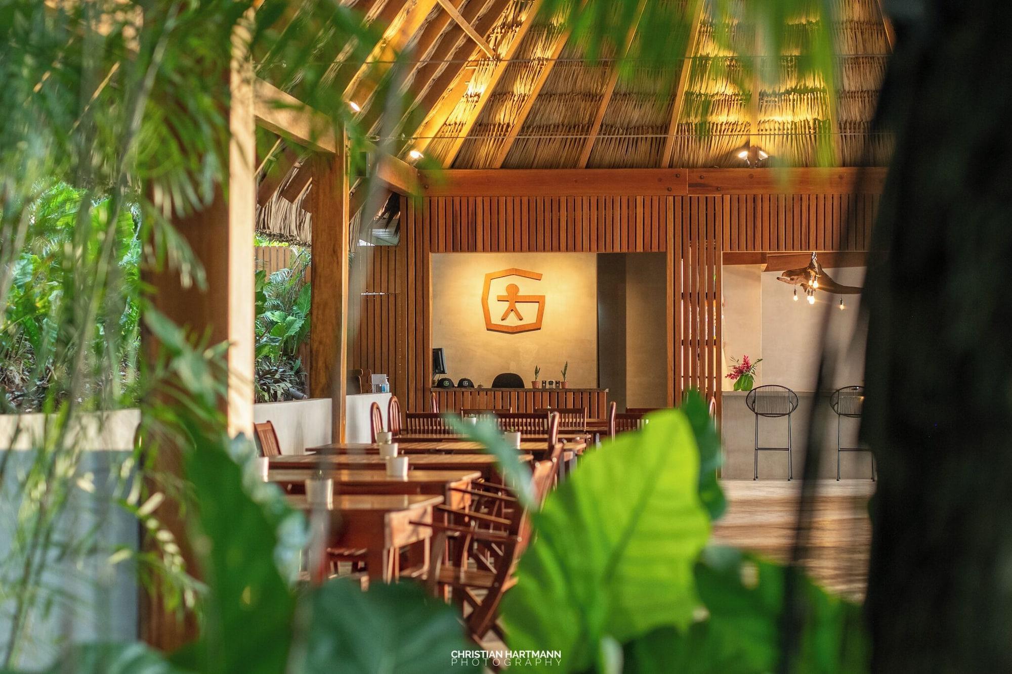 Vista Lobby Hotel Gringo Perdido
