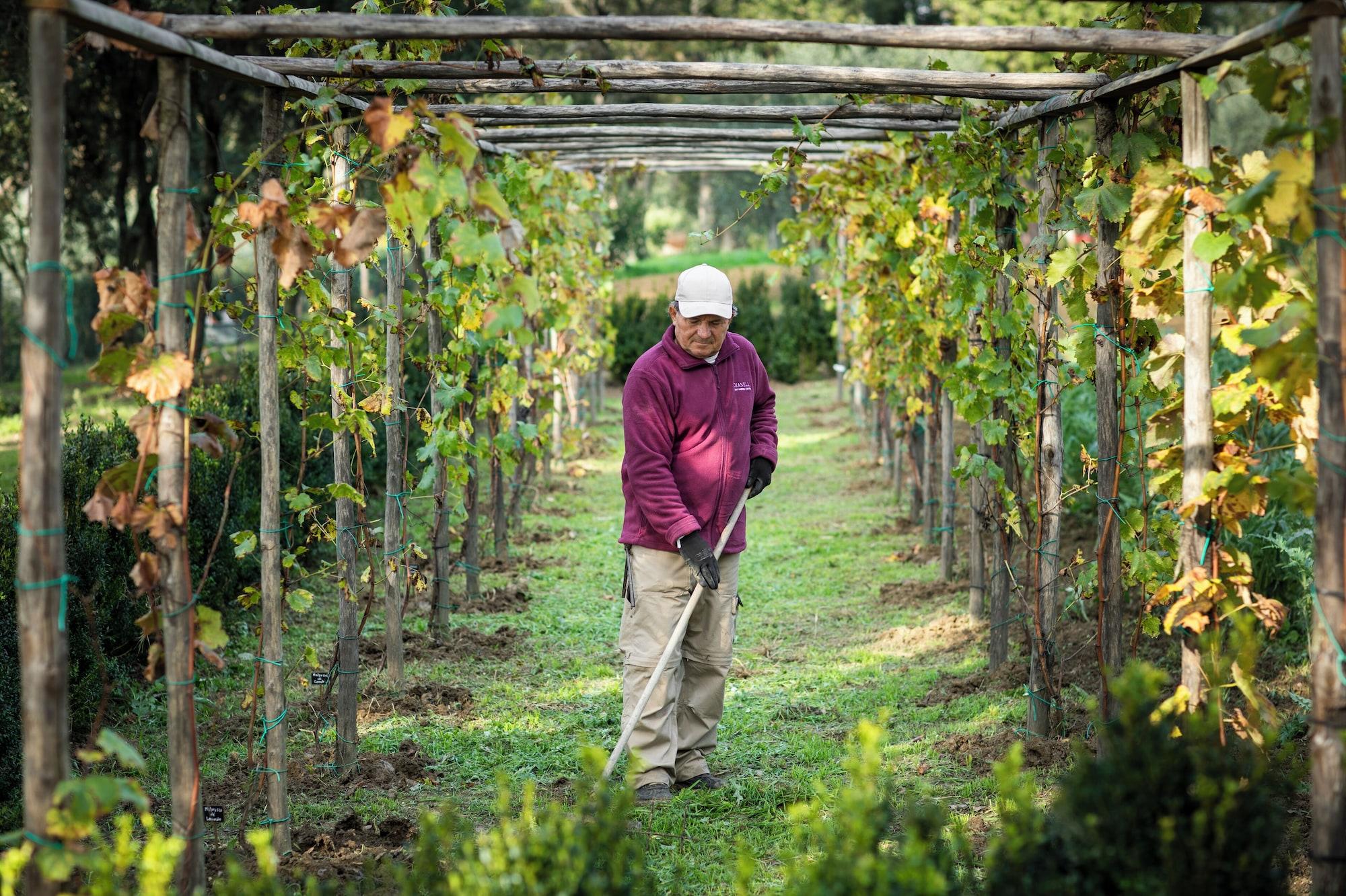 Instalaciones Recreativas Villa Dianella Wine Resort