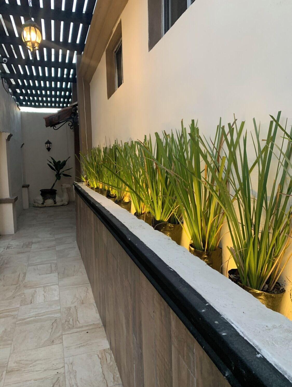 Equipamiento de Habitación BLACK TREE HOTEL BOUTIQUE