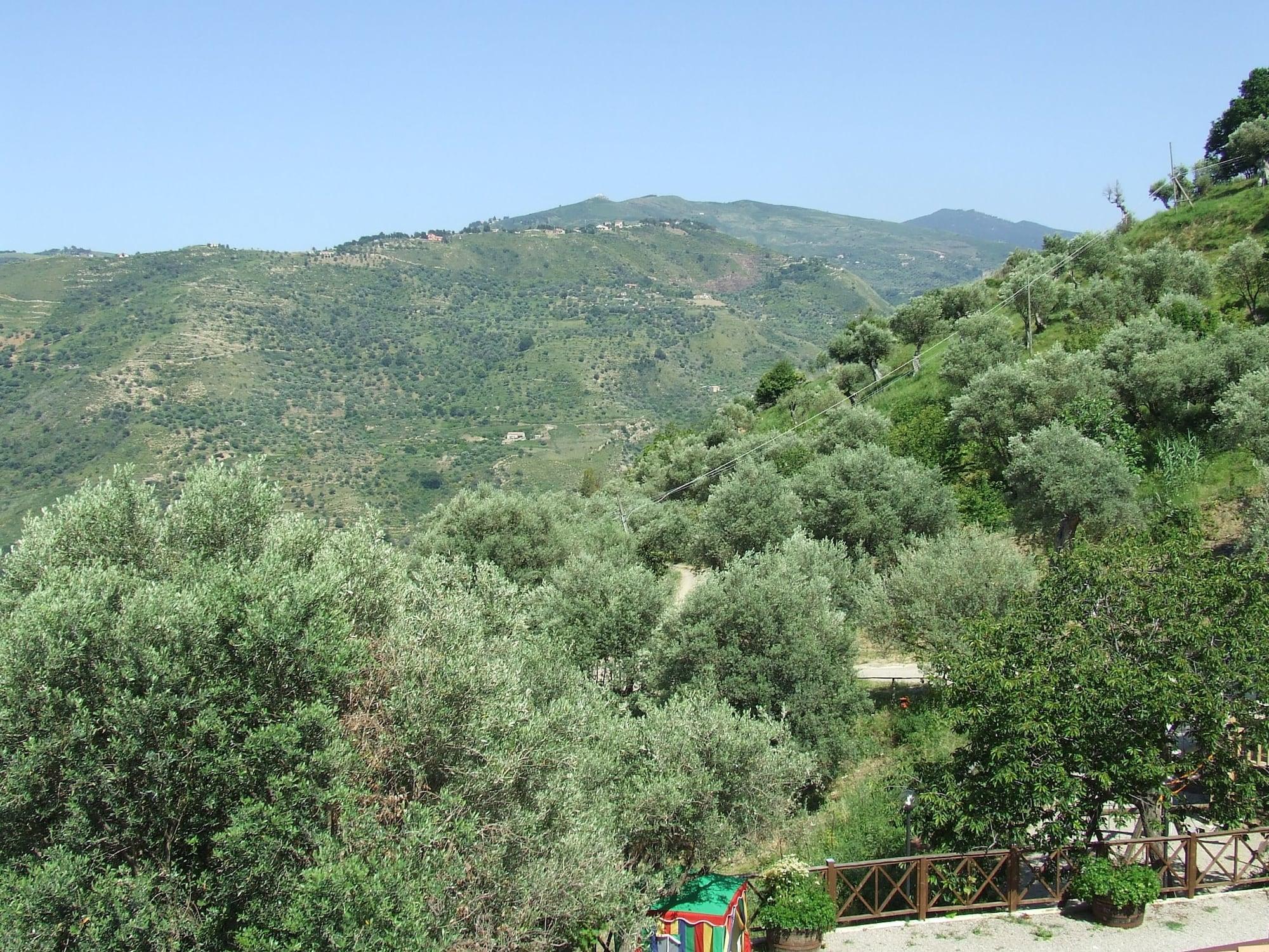 Habitación L'Uliveto