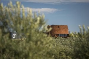 Actividad - Tour gourmet: Bodega Oceánica