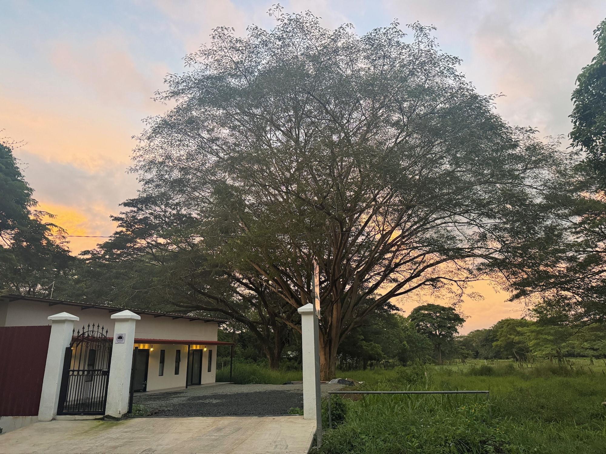 Vista Exterior Room-cameva Villas Your Perfect Escape