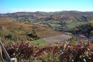 Alojamiento - Bricco Rosso