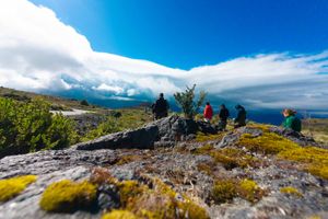 Actividad - Excursión Volcán Osorno y Saltos del Petrohue