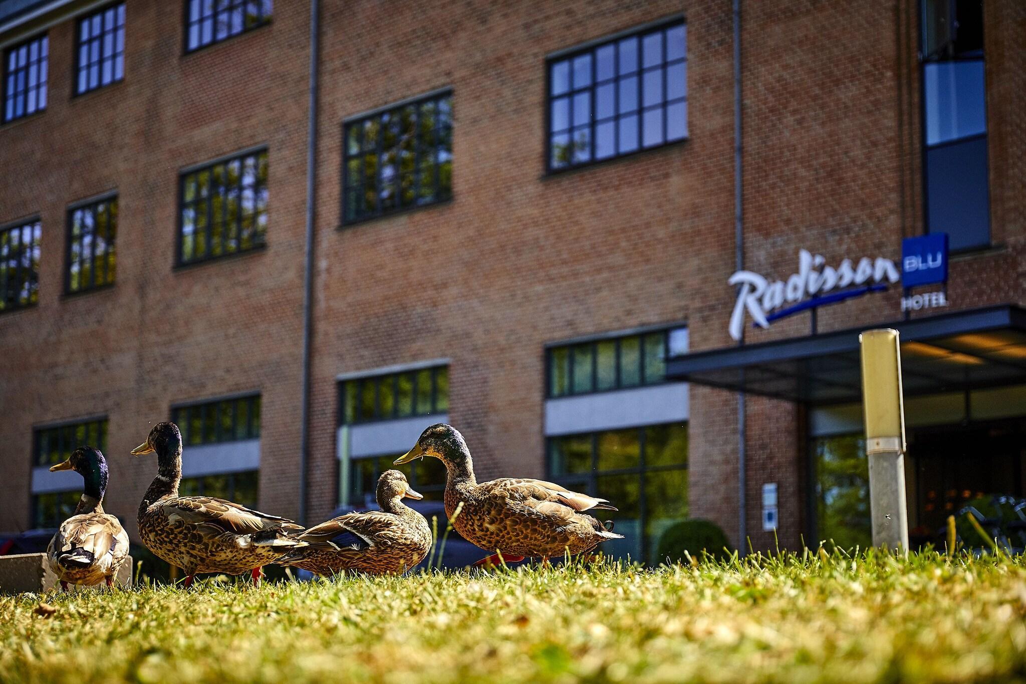 Vista Exterior Radisson Blu Hotel Papirfabrikken