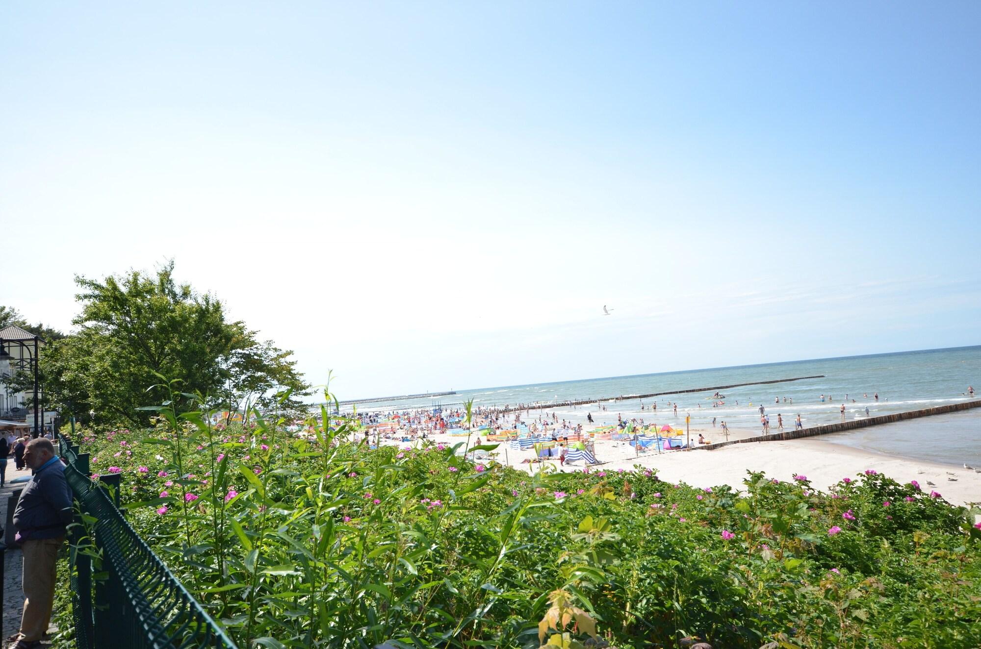 Playa Hotel Jantar
