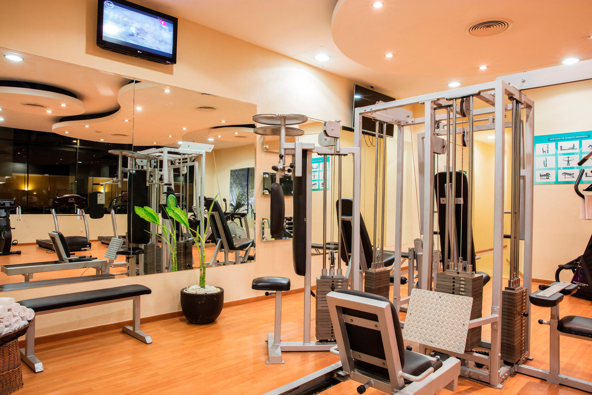 Gimnasio Krystal Monterrey