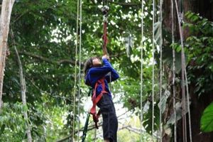 Actividad - Escalada de árboles en el Amazonas