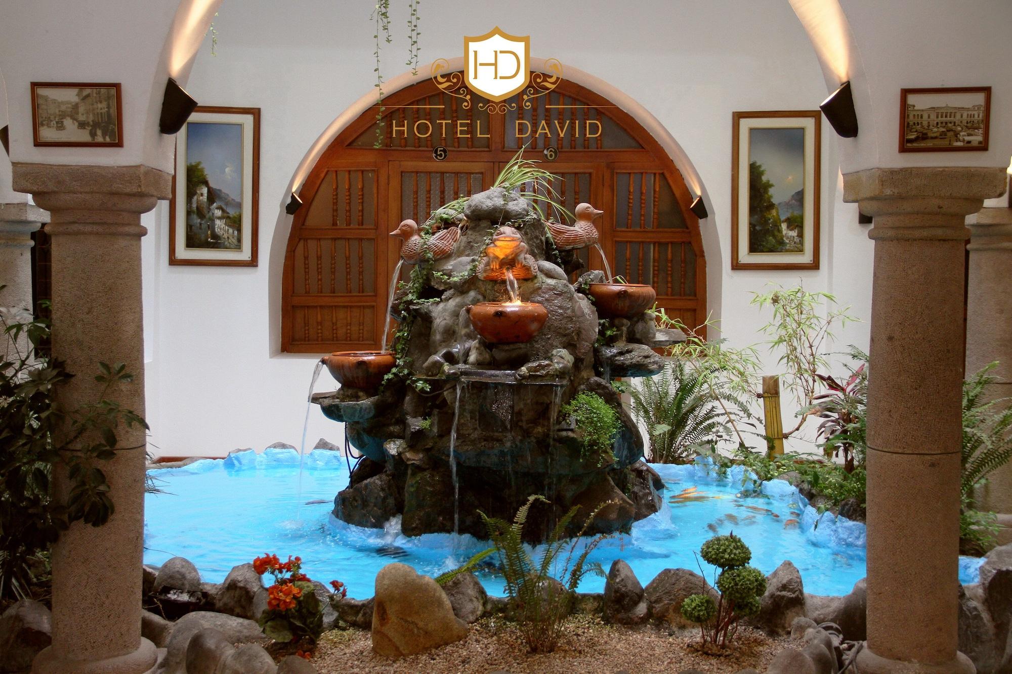 Varios Hotel David