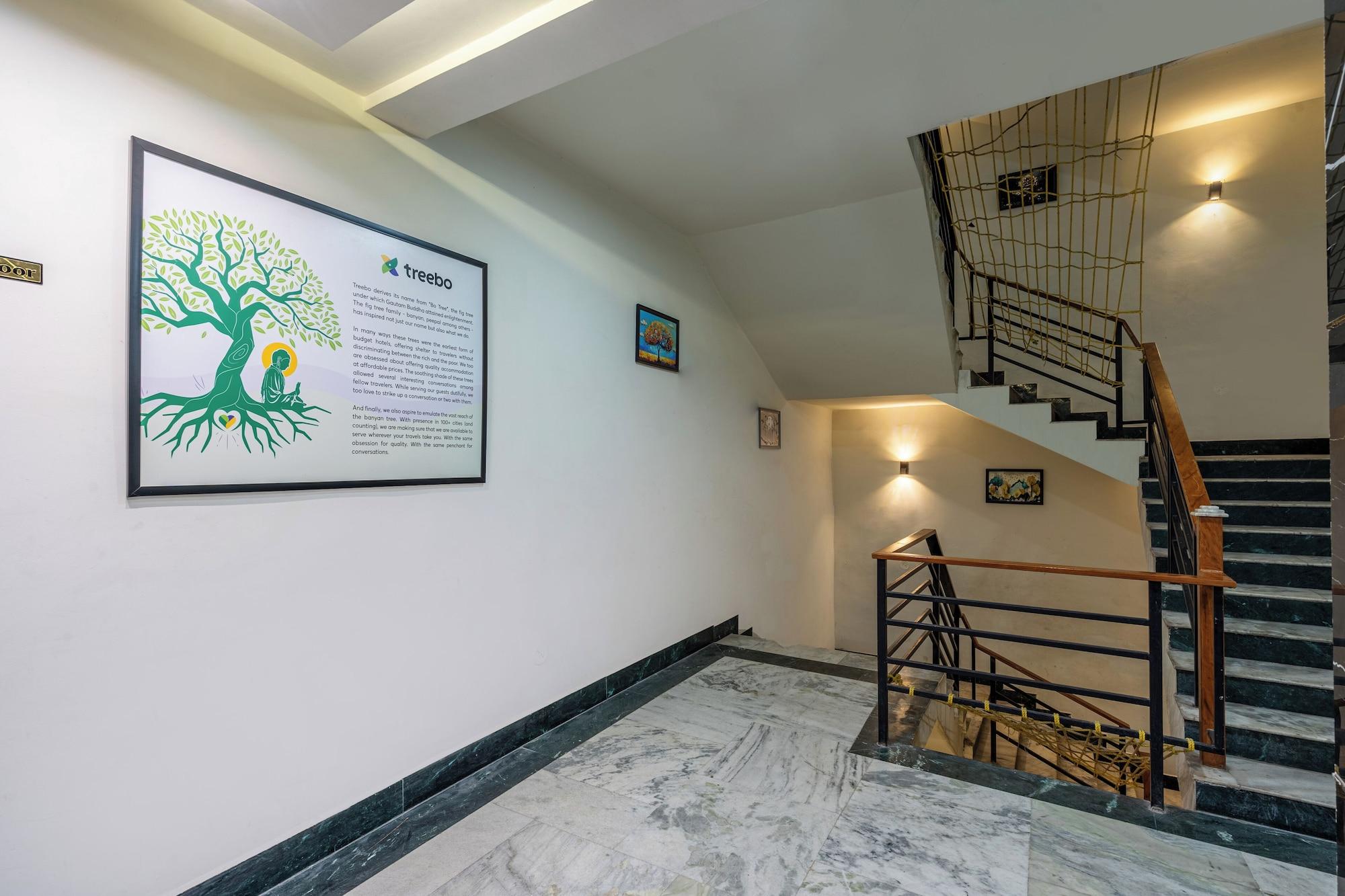 Varios Treebo Green Olive