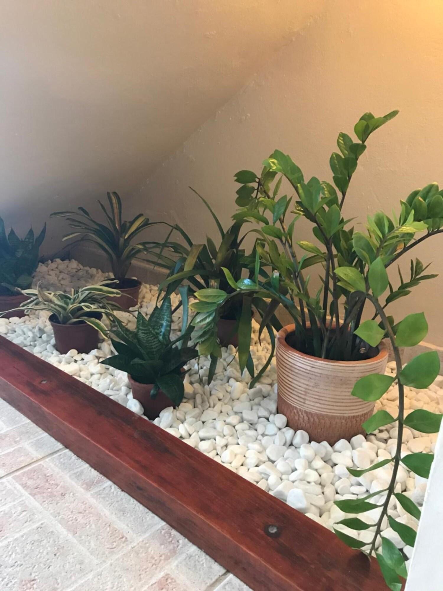 Comodidades del Alojamiento Pousada Ilha do Encanto