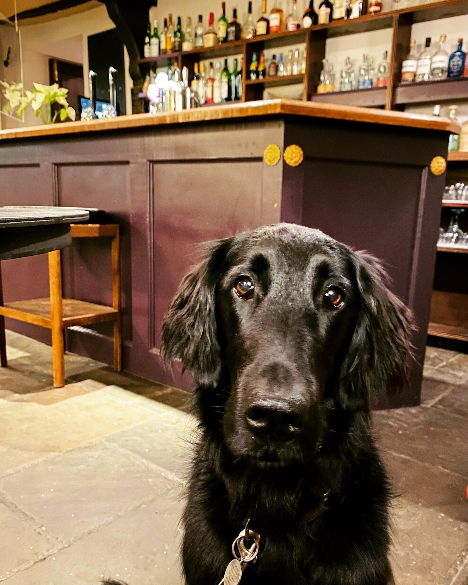 Bar/Salón The Wensleydale Hotel