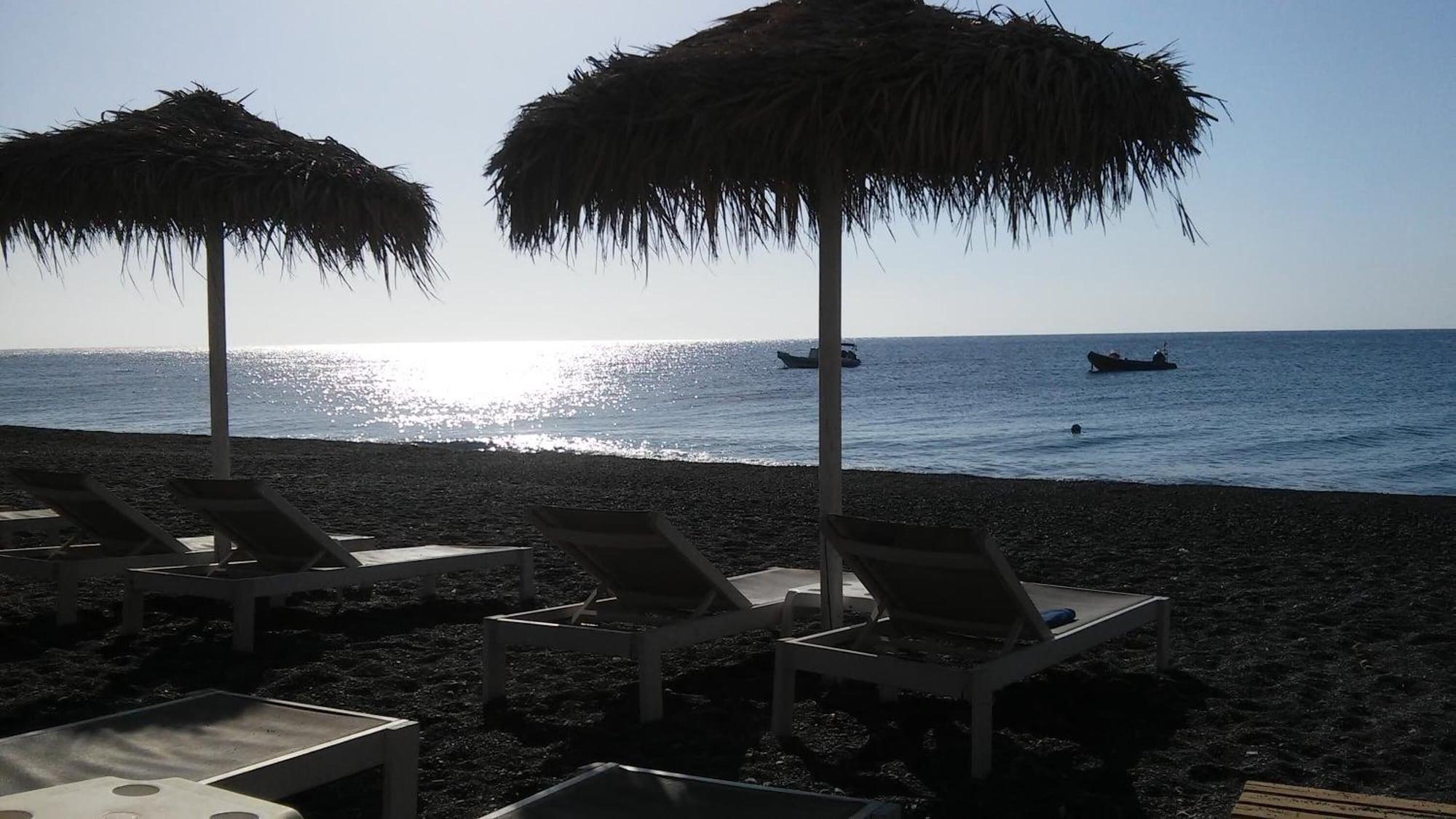 Playa Dolphins