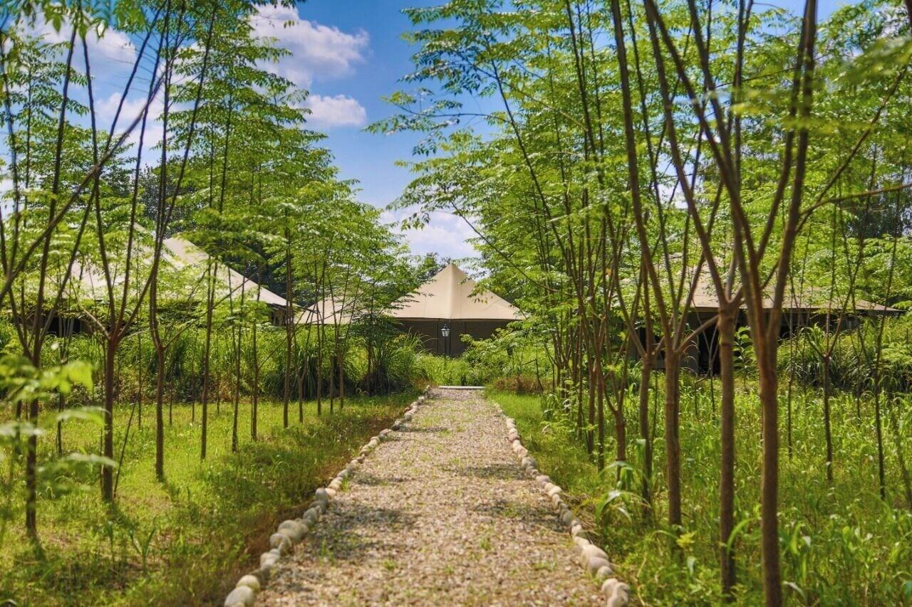 Vista Exterior Aalia Jungle Retreat and Spa, Bandarjudh, Haridwar - Araiya Anthology