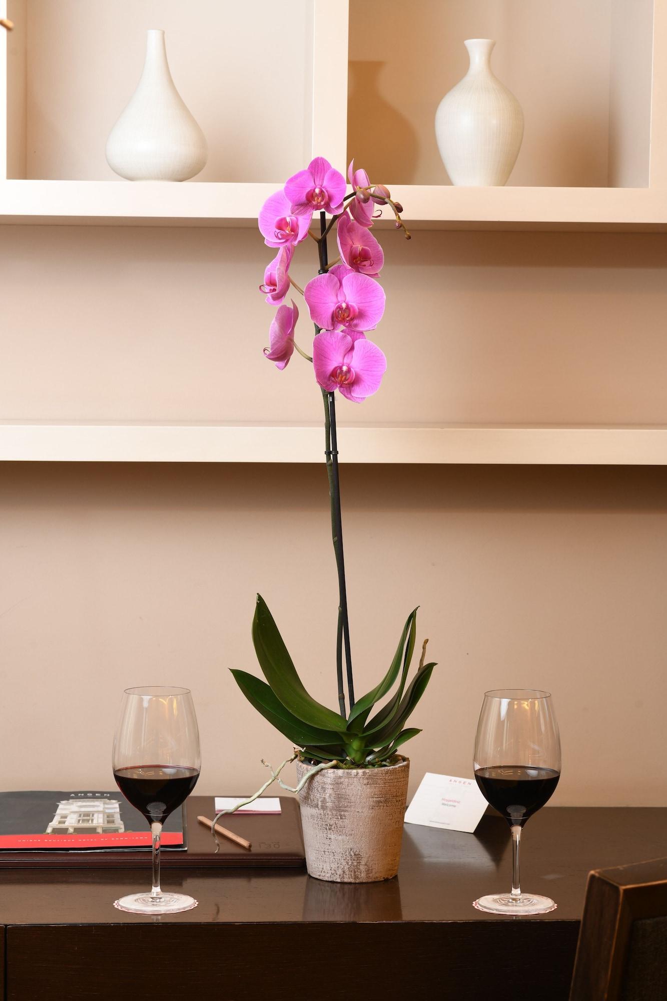 Set de Habitación Ansen Suites