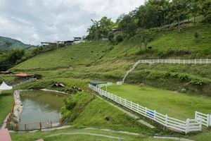 Alojamiento - Hacienda Charrascal Coffe Farm