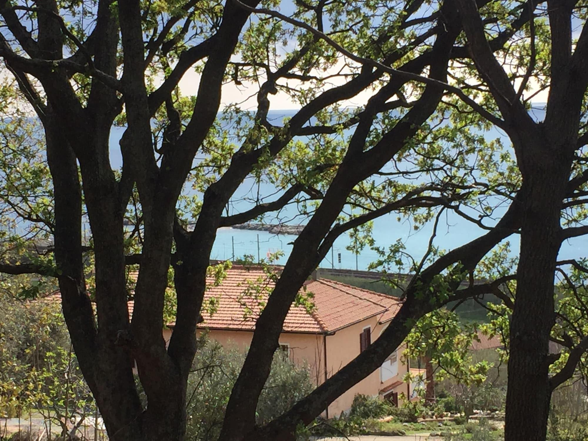 Vista Exterior B&B Colle degli Ulivi