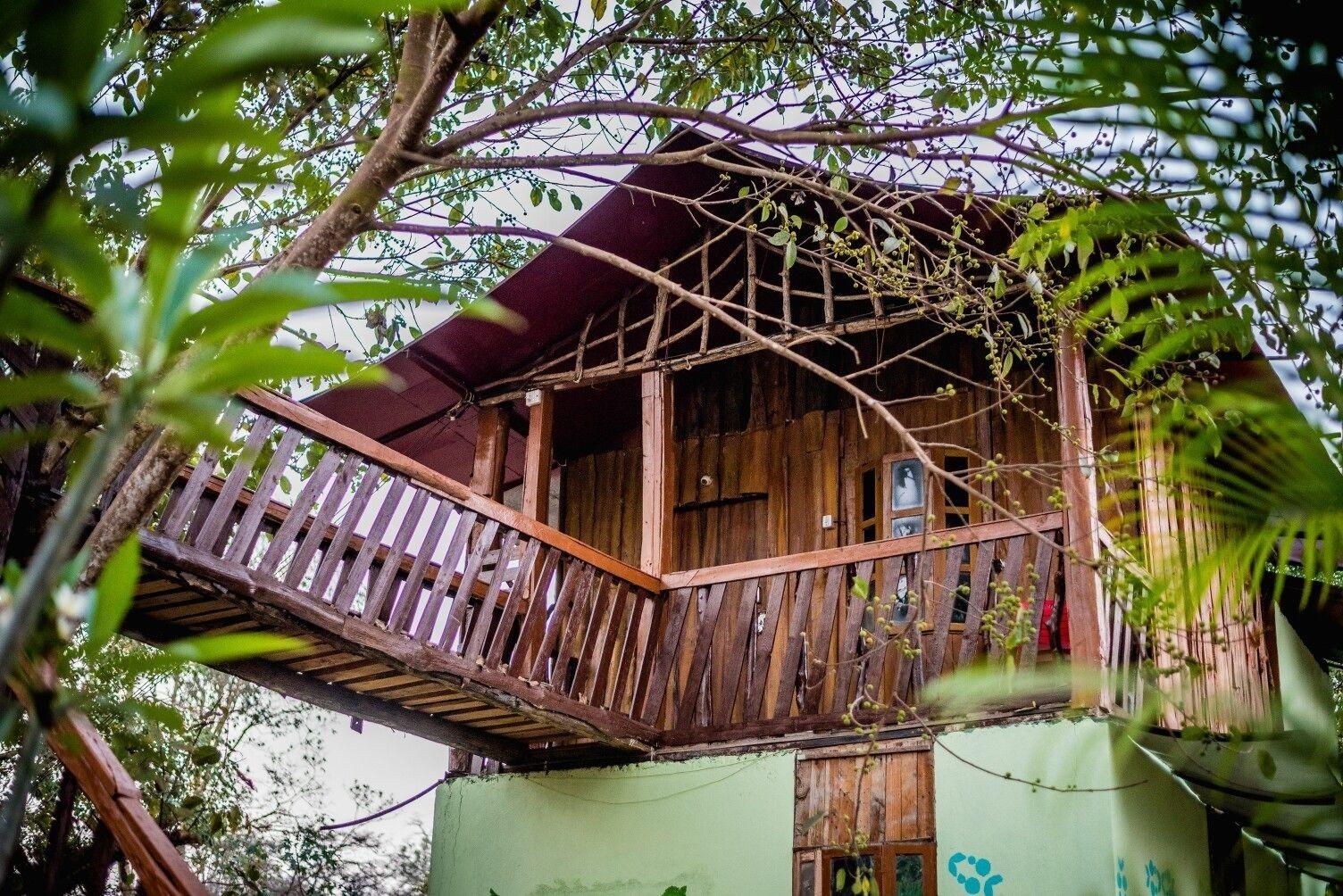 Equipamiento de Habitación Dandeli Rangers Camp