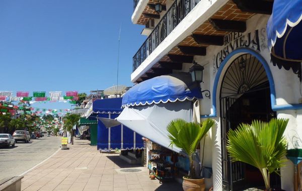 Casa Vieja - Hoteles pet friendly en Puerto Escondido, Oaxaca