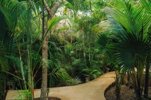 Alojamiento - Aldea Coba an Escape Experience