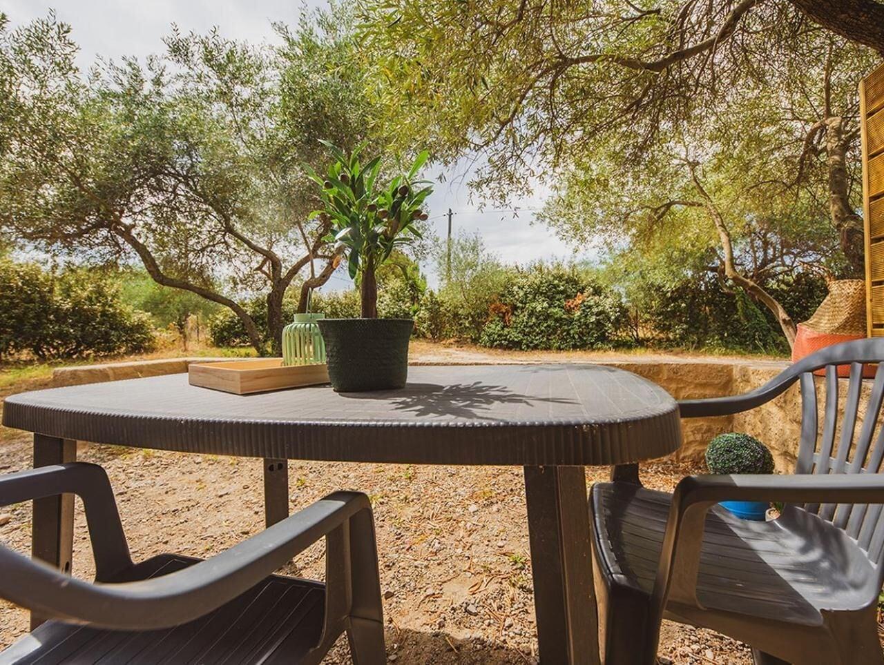 Comodidades del Alojamiento Les Pierres De La Massane