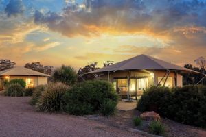 Alojamiento - Dubbo Rhino Lodge