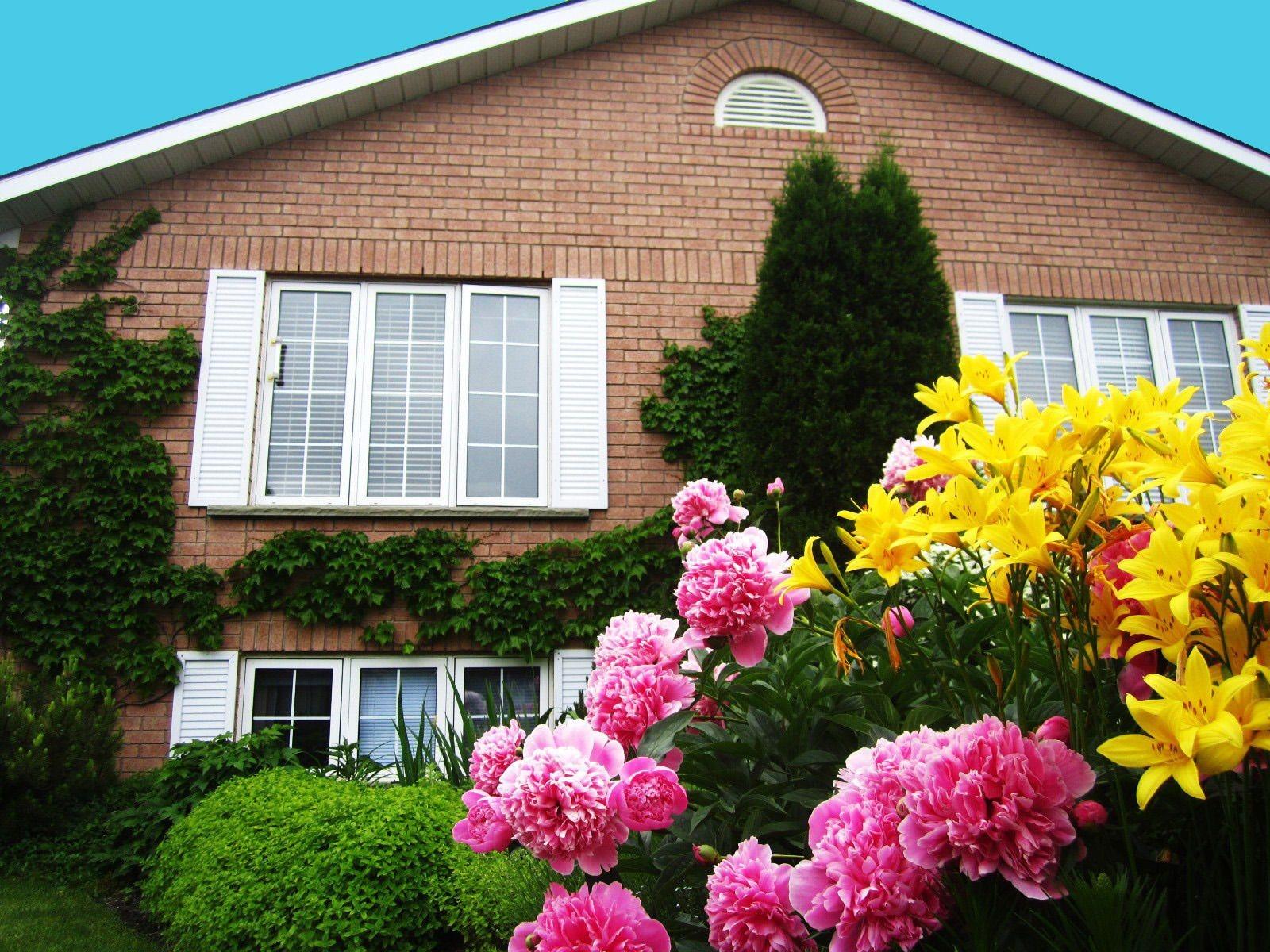 Vista Exterior Opus 74 Bed & Breakfast