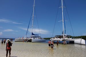 Actividad - Catamarán Negril