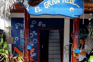 Alojamiento - Hostel El Gran azul