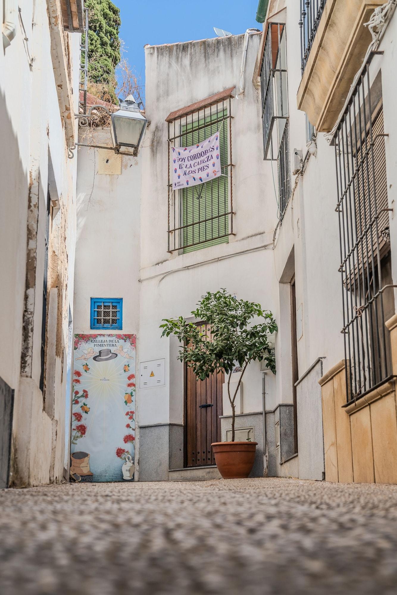 Vista Exterior Calleja de La Pimentera