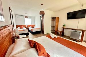 Alojamiento - eco hotel palma É coco