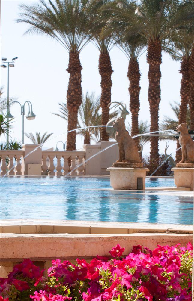 Vista Piscina Herods Palace Hotel