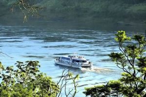 Actividad - Crucero al Atardecer desde Iguazú: Descubre la Magia de las Tres Fronteras