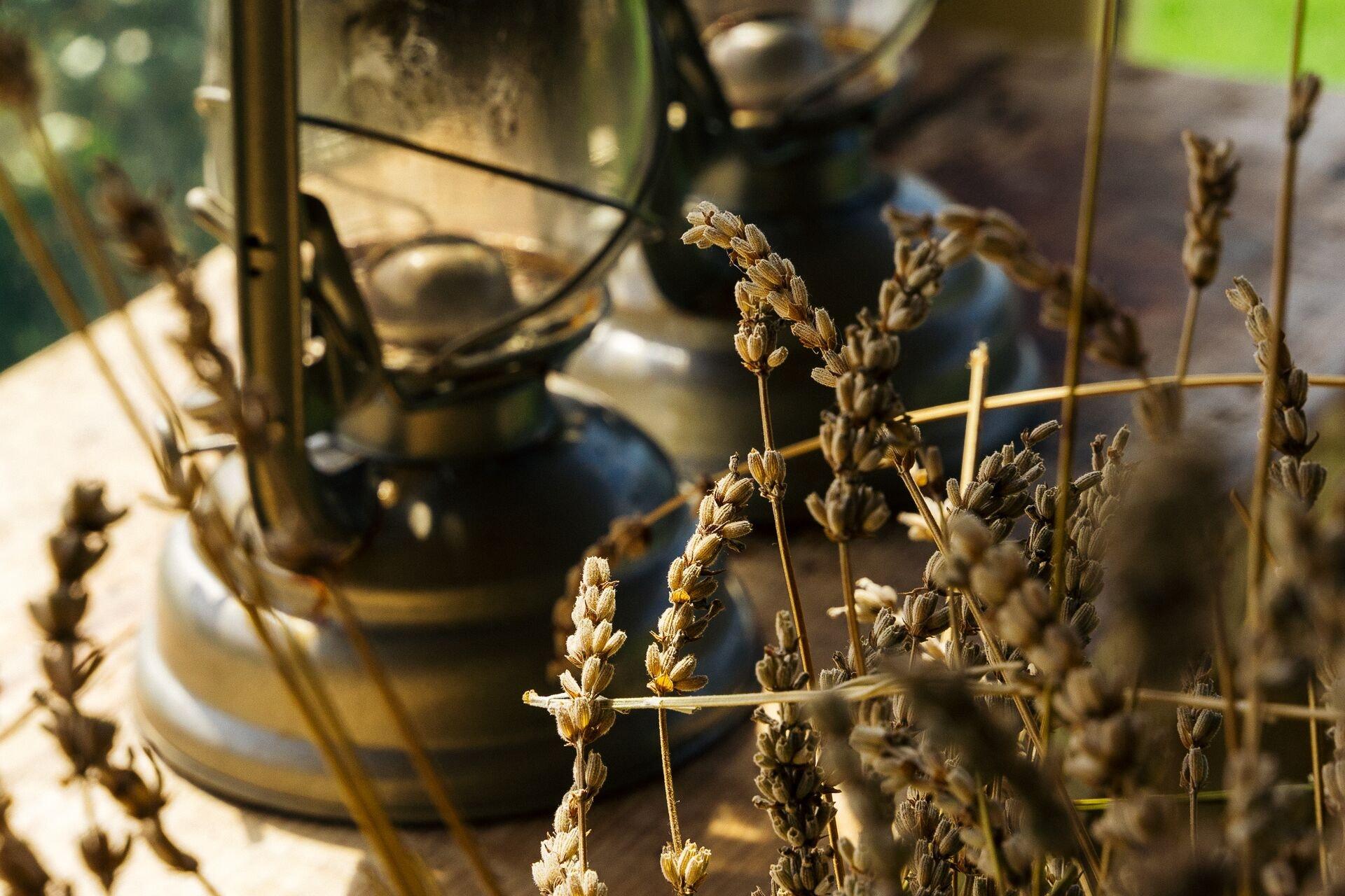 Vista Exterior Agriturismo Sweet Cottage