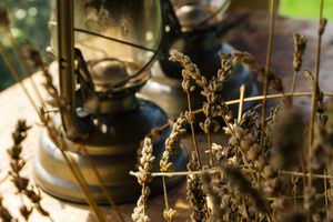 Alojamiento - Agriturismo Sweet Cottage