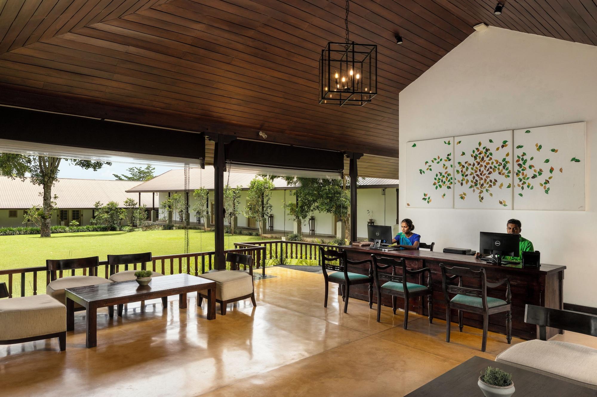 Vista Lobby Simpson's Forest Hotel
