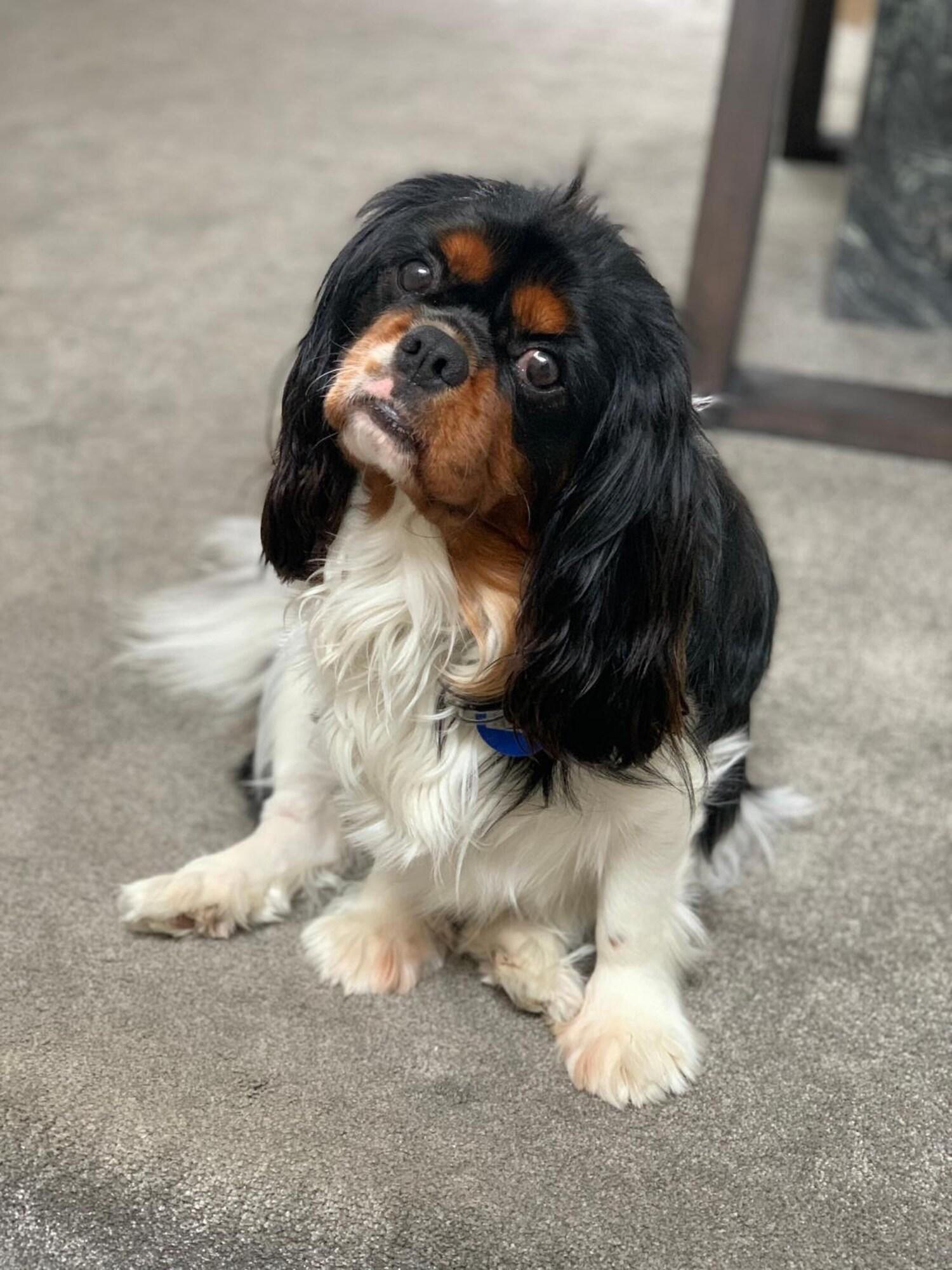 Vista Lobby Arena Motel