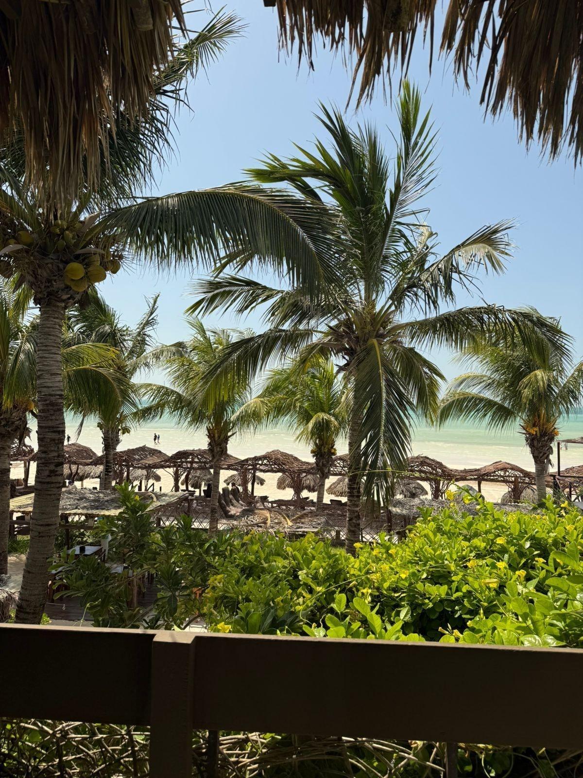 Playa Villas Tiburon Adults only