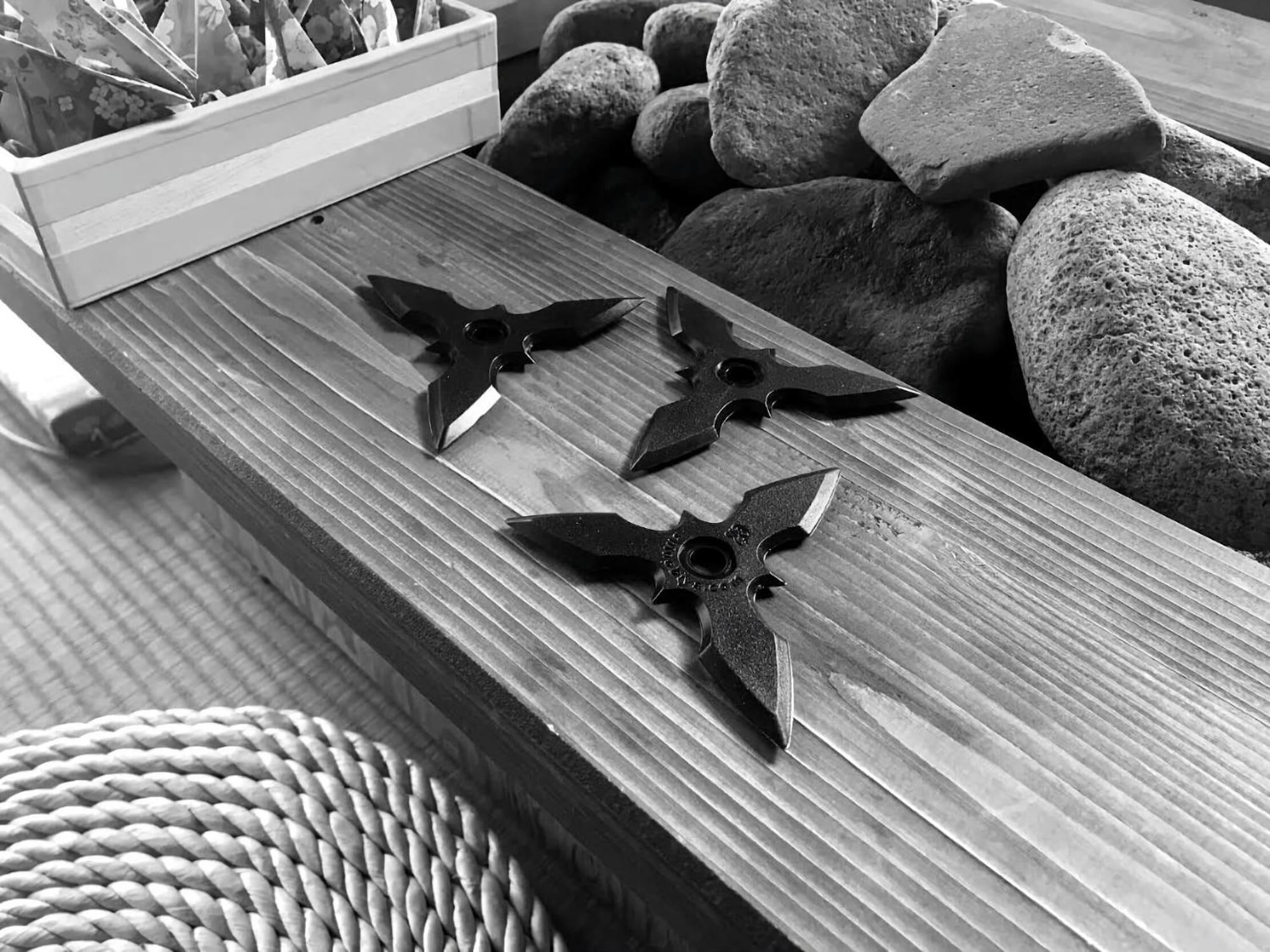 Restaurant Takayama Ninja House