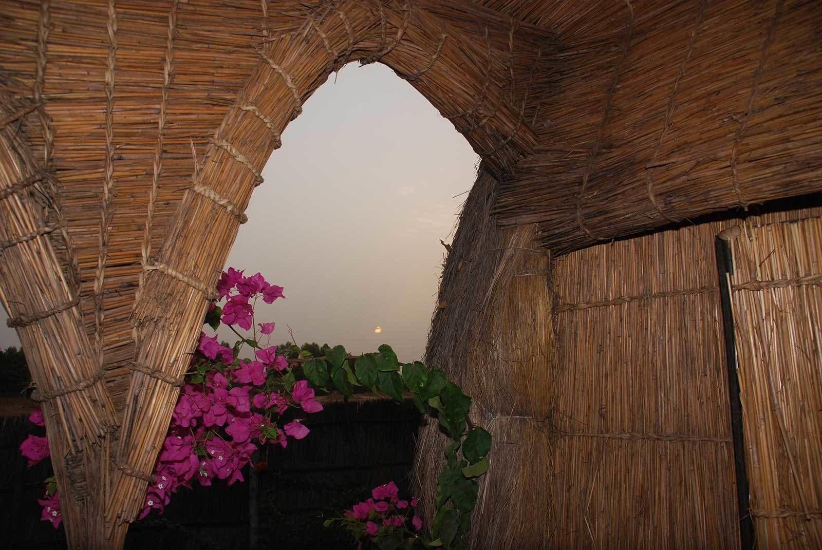 Vista Exterior L'Ecolodge de Simal