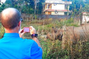 Alojamiento - Hotel Peacock