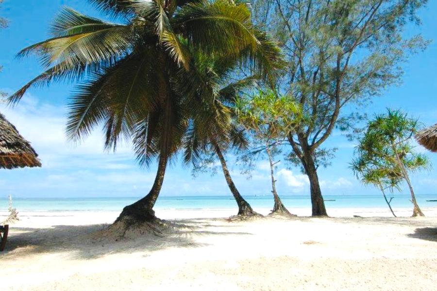 Playa Kiwengwa Bungalow Boutique Resort